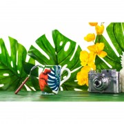 Mug tazza porcellana Weissestal decoro floreale Rito set due pezzi Tazzine CaffÃ¨ Mug Tazze e Zuccheriere