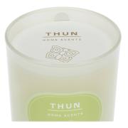 Candela profumata Thun in bicchiere vetro grande, profumazione Green Bay Candele Profumate e Yankee Candle