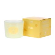 Candela profumata Thun in bicchiere vetro grande, profumazione Summer Profumazioni per bucato e Candele Yankee Candle