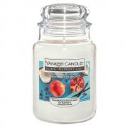 Candela Yankee Candle giara grande, prezzo in offerta profumazione pommegranate coconut 