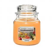Candela Yankee Candle giara media, prezzo in offerta profumazione exotic fruits 