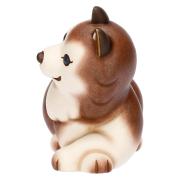 Cane Husky Thun, Alaska medio Thun Animali