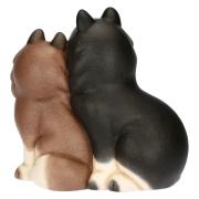 Cane Husky Thun, coppia Polo e Alaska Thun Animali