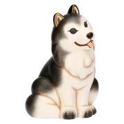 Cane Husky Thun, Polo grande Thun Animali