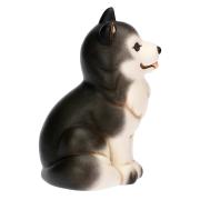 Cane Husky Thun, Polo grande Thun Animali