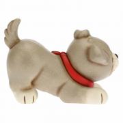 Cane Thun razza Meticcio con occhio nero Thun Animali