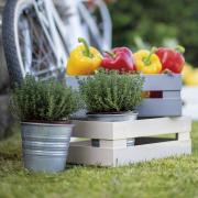 Cassetta Guzzini contenitore impilabile portatutto Tidy&Store colore beige cm45x31 Organizzazione e cura della Cucina