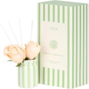 Diffusore Thun con rose, verde Profumatori, Scatole Portagioie