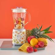 Frullatore da cucina Thun Pagnossin nuova linea Country 