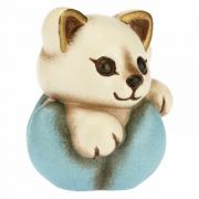 Gattino Thun su fiore azzurro mini 