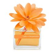 Profumatore MuhÃ  Flower, fragranza Cedro e Bergamotto formato 60ml arancio Profumatori per ambiente MuhÃ 