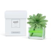 Profumatore MuhÃ  Flower, fragranza Mosto Supremo formato 30ml verde Profumatori per ambiente MuhÃ 