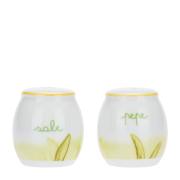 Set sale e pepe Fiore in Fiore Olio e Aceto e Formaggiere