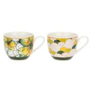 Tazzine caffe espresso Rose & Tulipani Mirabilia Libellula, set sei tazzine con piatto Tazzine CaffÃ¨ Mug Tazze e Zuccheriere