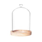 Teca vetro, campana a cupola grande base legno Thun Angeli
